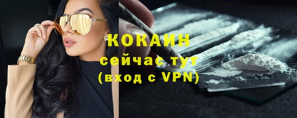 ПСИЛОЦИБИНОВЫЕ ГРИБЫ Богородицк