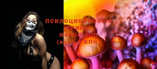 ПСИЛОЦИБИНОВЫЕ ГРИБЫ Богородицк
