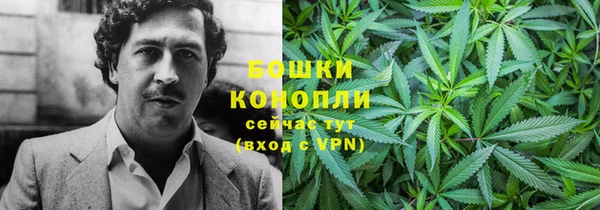 соль ск Богородск
