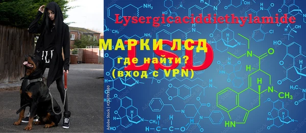 метадон Богданович