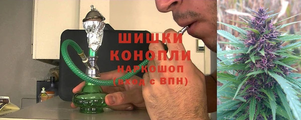 метадон Богданович