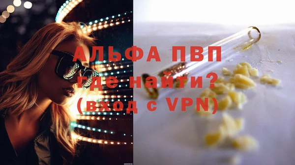 метадон Богданович