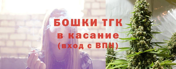 соль ск Богородск